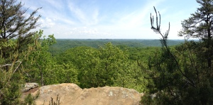 Raven Rock looking into the Red River Gorge - Shiloh, Ky